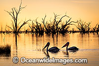 Menindee Sunset Photo - Gary Bell