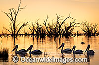 Menindee Sunset Photo - Gary Bell