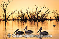 Menindee Sunset Photo - Gary Bell