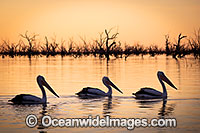 Menindee Sunset Photo - Gary Bell
