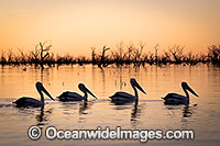 Menindee Sunset Photo - Gary Bell