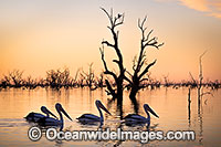 Menindee Sunset Photo - Gary Bell