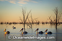 Menindee Sunset Photo - Gary Bell