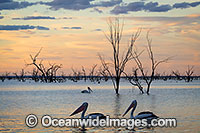 Menindee Sunset Photo - Gary Bell