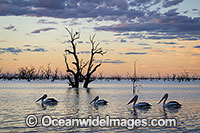 Menindee Sunset Photo - Gary Bell