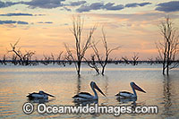 Menindee Sunset Photo - Gary Bell
