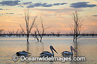 Menindee Sunset Photo - Gary Bell