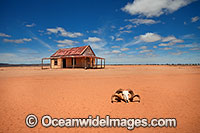 Mundi Mundi Clay Pan Photo - Gary Bell