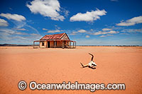 Mundi Mundi Clay Pan Photo - Gary Bell