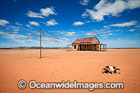 Mundi Mundi Clay Pan Photo - Gary Bell