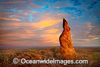Mundi Mundi Clay Pan Photo - Gary Bell