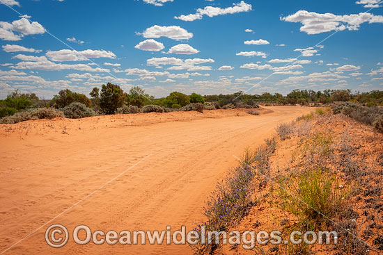 Australian Outback photo