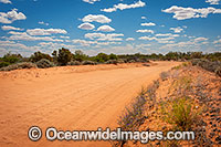 Australian Outback Photo - Gary Bell
