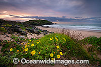 Gallows Beach Sawtell Photo - Gary Bell