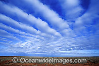 Desert scene Photo - Gary Bell