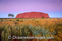 Kata Tjuta Olgas Photo - Gary Bell