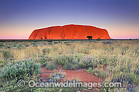 Uluru Ayers Rock Photo - Gary Bell