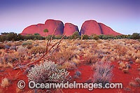 Kata Tjuta Olgas Photo - Gary Bell