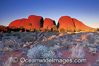 Kata Tjuta Olgas Photo - Gary Bell