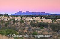 Kata Tjuta Olgas Photo - Gary Bell
