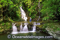 Elabana Falls Lamington National Park Photo - Gary Bell