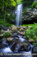 Crystal Shower Falls Dorrigo Photo - Gary Bell