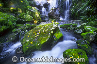 Chalan Falls Lamington National Park Photo - Gary Bell