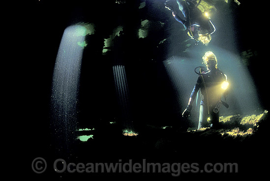 HMAS Cerberus shipwreck photo HMAS Cerberus shipwreck photo