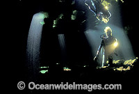 HMAS Cerberus shipwreck Photo - Gary Bell