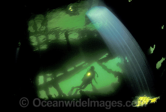 Shipwreck Cerberus photo Shipwreck Cerberus photo