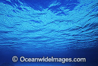 Ocean surface Coral Sea Photo - Gary Bell