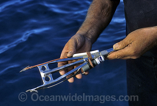 Harpoon device Shark identification tag transmitting device photo
