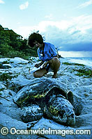 Researcher documents nesting Loggerhead Turtle Photo - Gary Bell