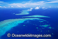 Aerial Cod Hole Photo - Gary Bell
