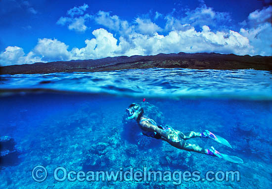 Coral Reef and Snorkel Divers photo Coral Reef and Snorkel Divers photo