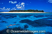 Snorkel Divers on Coral reef Photo - Gary Bell