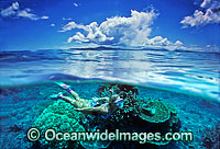 Coral Reef and Snorkeler Photo - Gary Bell