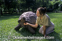 Harriet Galapagos Land Tortoise Photo - Gary Bell