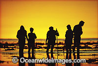 Tourists reef walking Coral reef flats Photo - Gary Bell