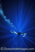 Diver snorkeling in sunrays Photo - Gary Bell