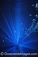 Rising bubbles in ocean Photo - Gary Bell
