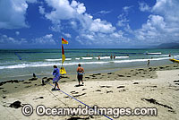 Box Jellyfish safety swimming net Photo - Gary Bell