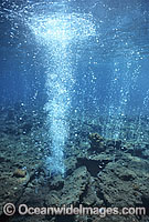 Volcanic Vent Bubbles Photo - Gary Bell