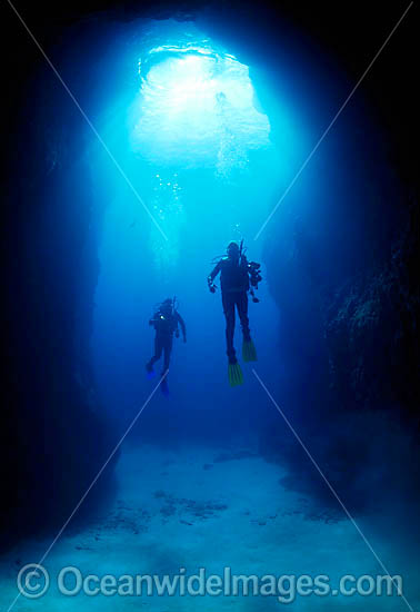 Scuba Divers at Lord Howe Island photo Scuba Divers at Lord Howe Island photo