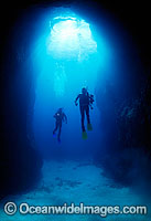 Scuba Divers at Lord Howe Island Photo - Gary Bell