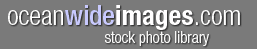 Underwater Nature Wildlife Stock Photo Library