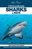 Sharks and Rays Sharks and Rays