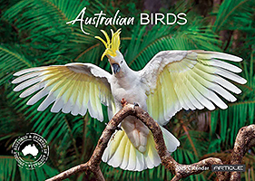 Australian Birds Australian Birds
