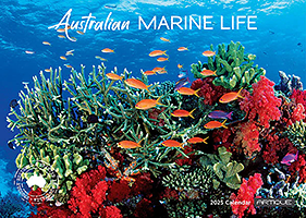 Australian Marine Life Australian Marine Life