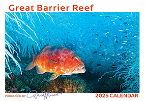 Great Barrier Reef Great Barrier Reef